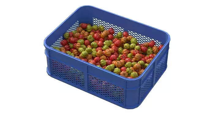 Surinam Cherry Plastic Crate Low-poly 3D model 2