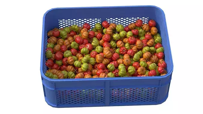 Surinam Cherry Plastic Crate Low-poly 3D model 3