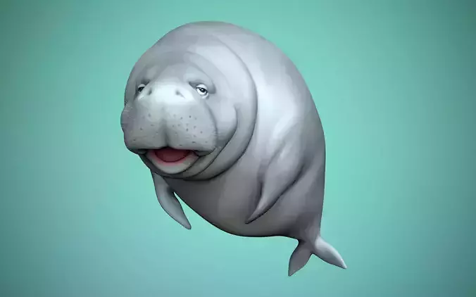 Dugong manatee