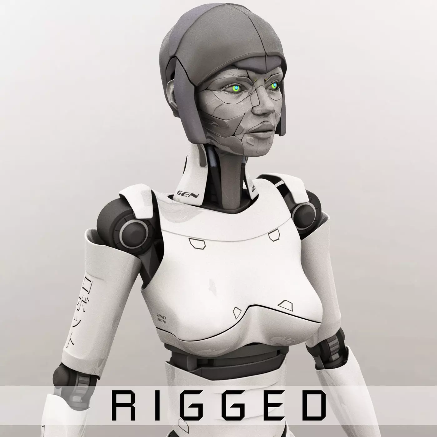 2ndGen Rigged 3D model_0