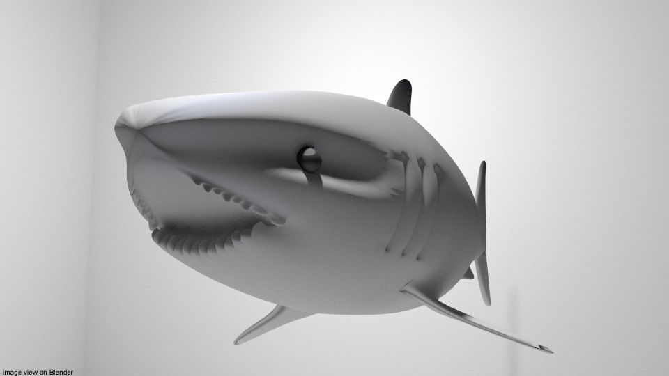 Shark - Great White 3D model_2