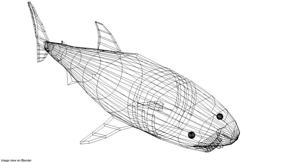 Shark - Great White 3D model_3