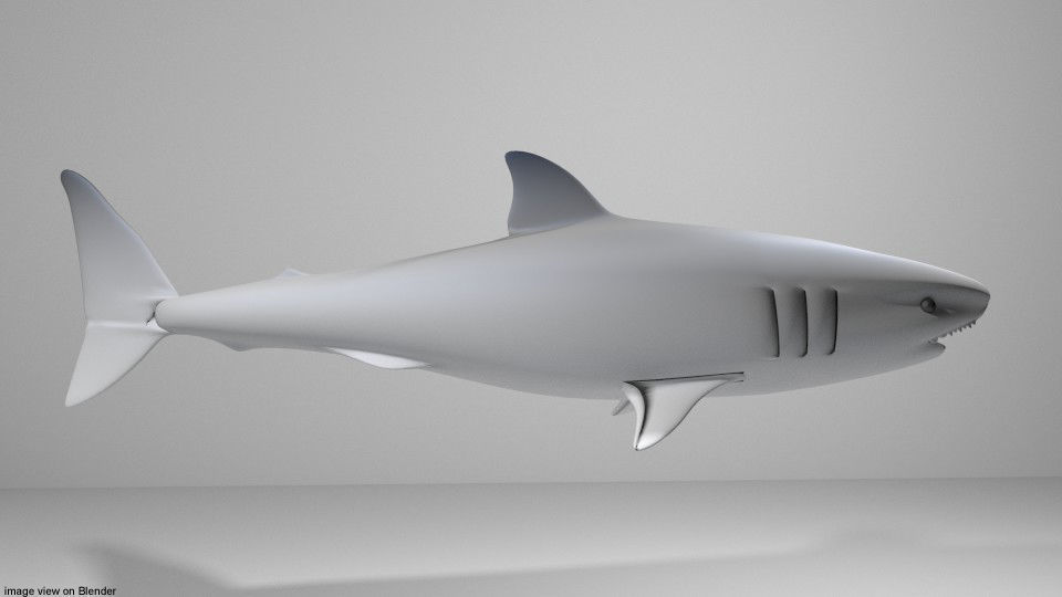 Shark - Great White 3D model_1