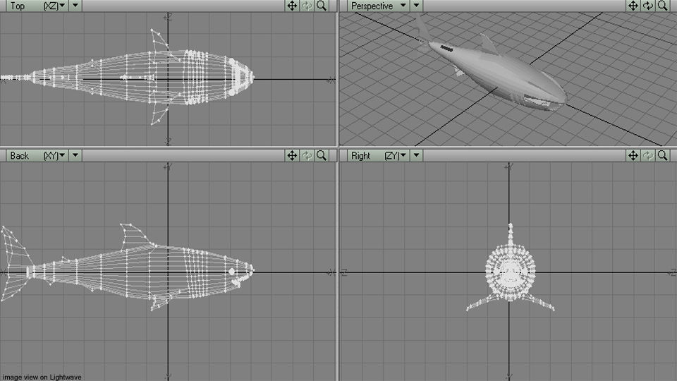 Shark - Great White 3D model_4