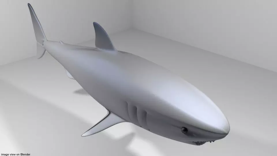 Shark - Great White 3D model_0