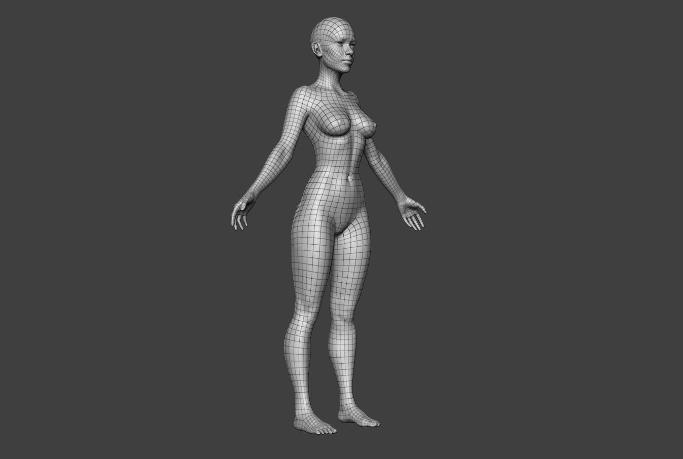 Female Body Basemesh 2 Low-poly 3D model_15