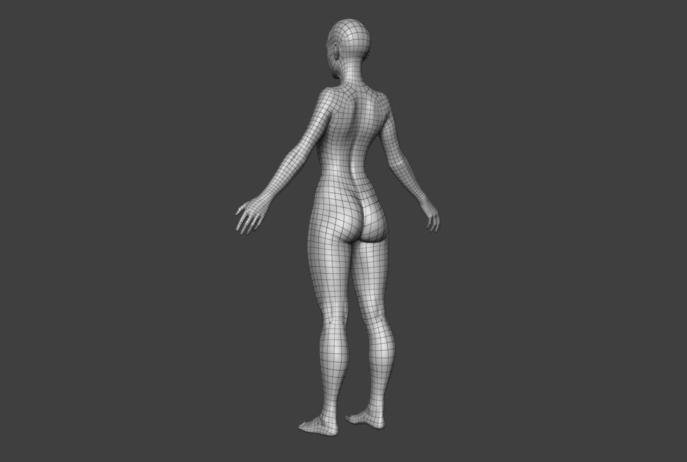 Female Body Basemesh 2 Low-poly 3D model_14