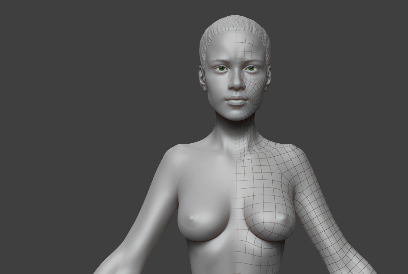 Female Body Basemesh 2 Low-poly 3D model_16
