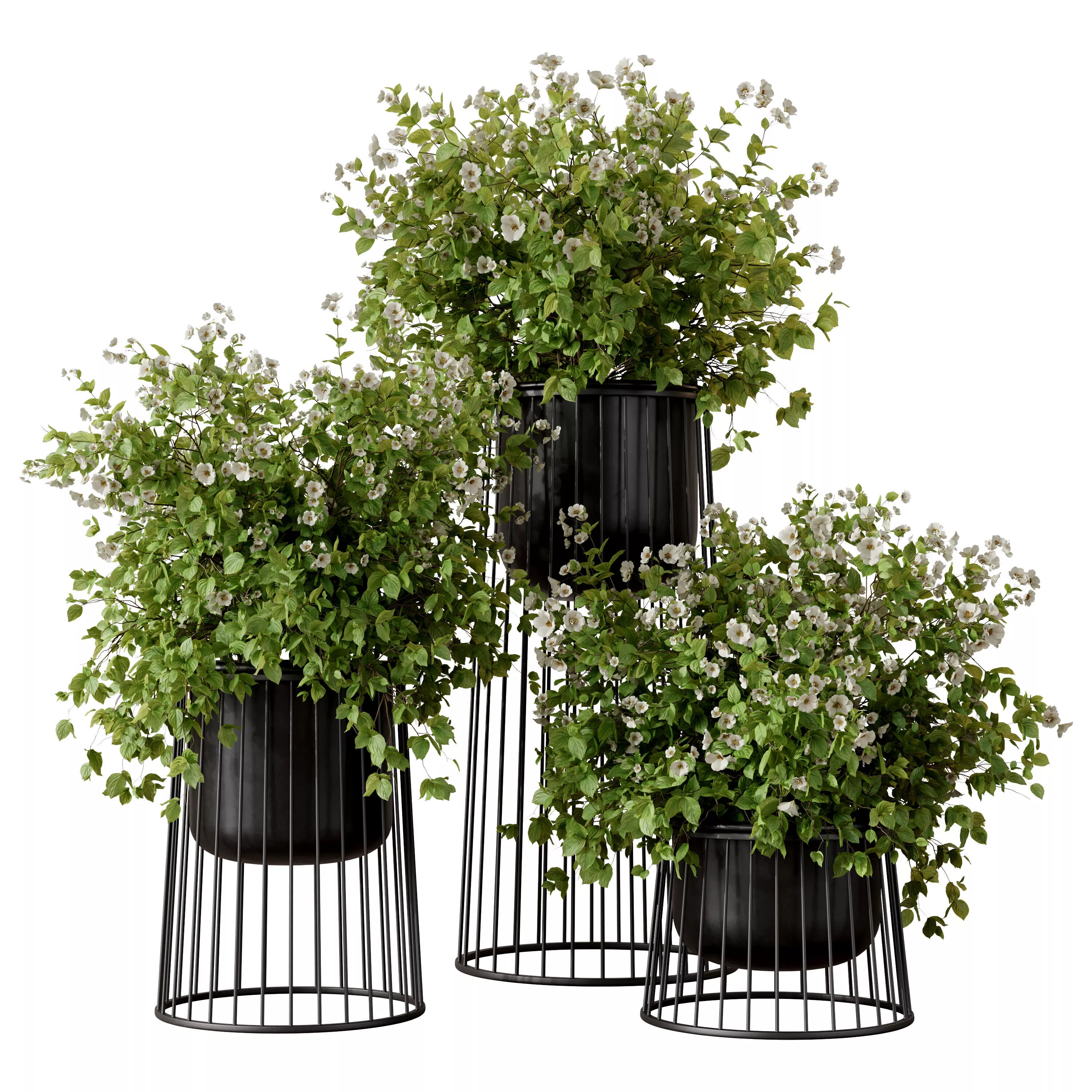 Philadelphus Plant Set in Metal Stand Pots 3D model