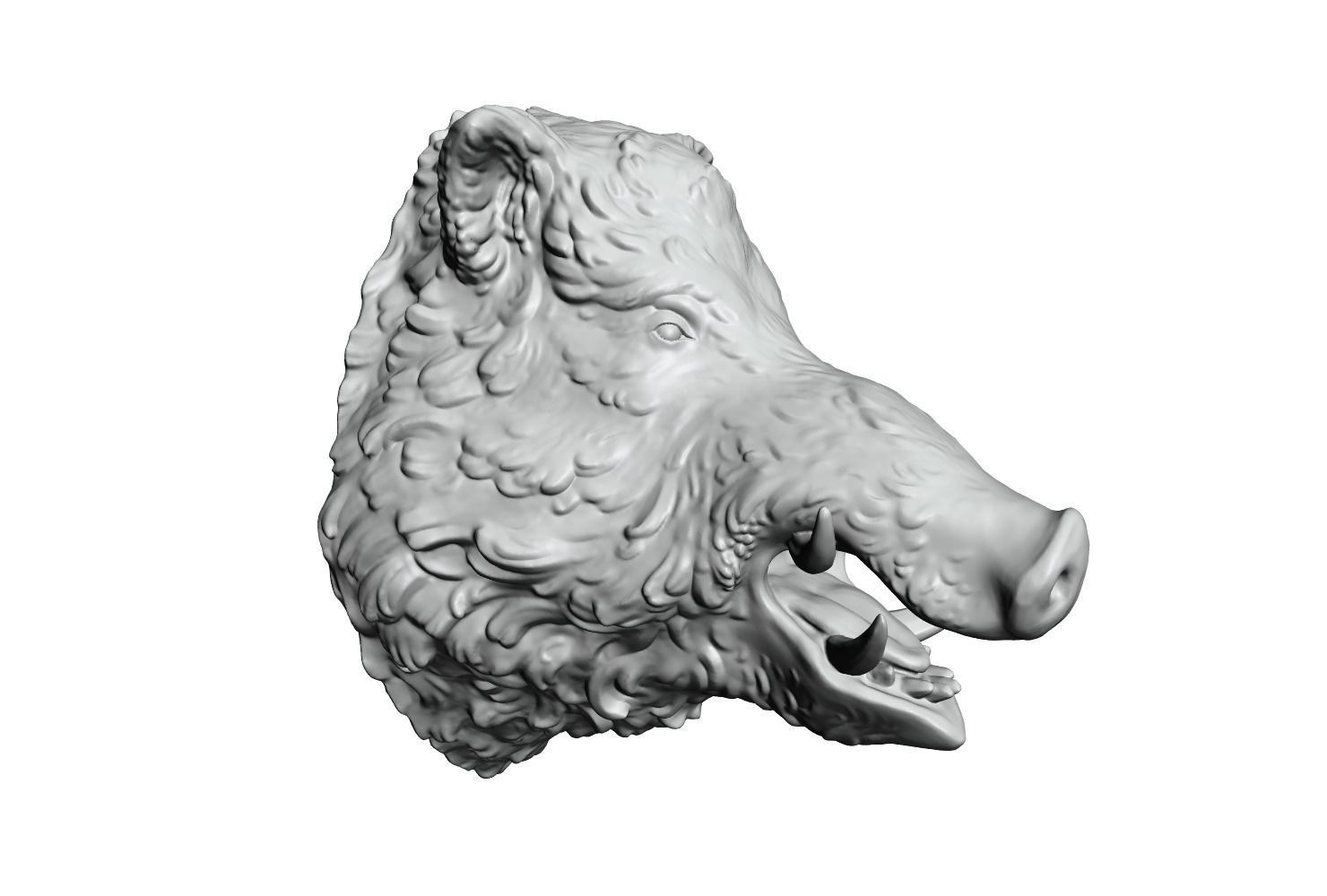 Boars head 2 3D print model