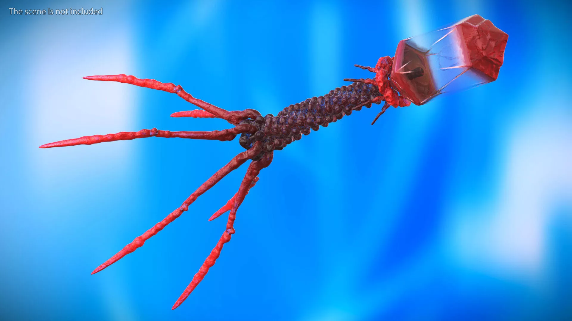 Bacteriophage Rigged for Cinema 4D 3D model