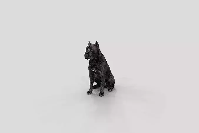 Realistic Cane Corso Sitting Dog 3D model