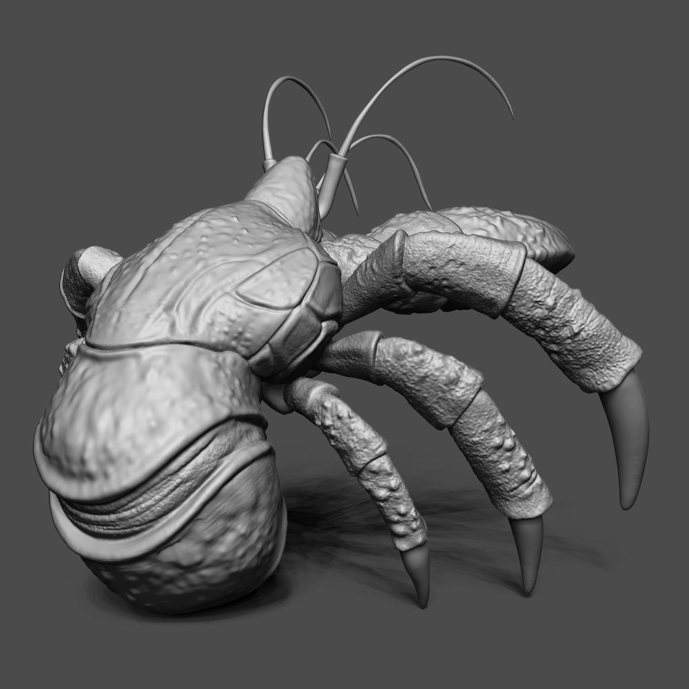 Coconut Crab 3D print model_2