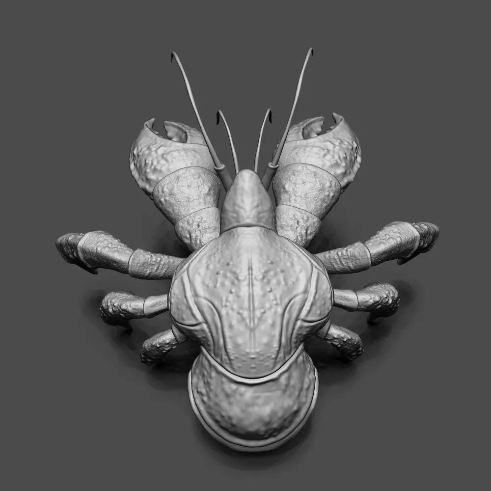 Coconut Crab 3D print model_0