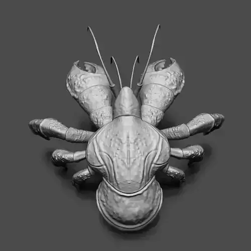 Coconut Crab 3D print model