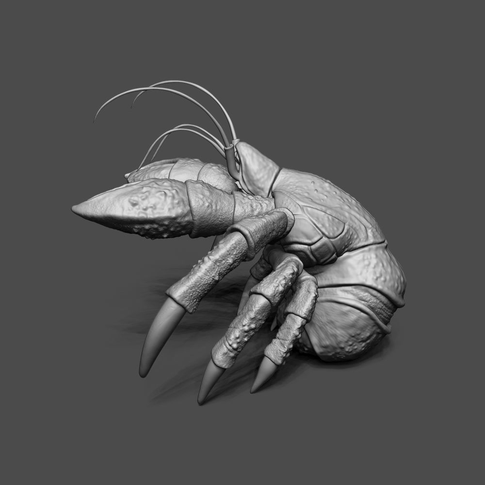 Coconut Crab 3D print model_4