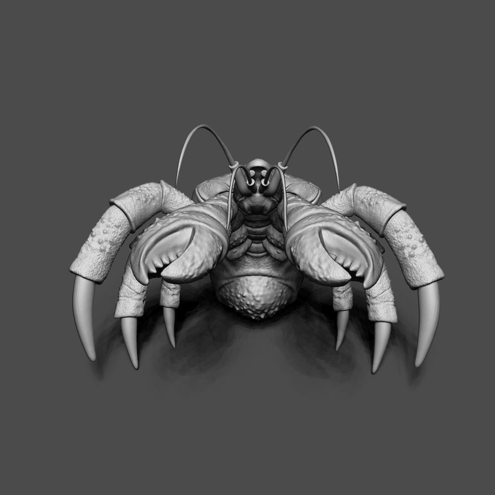 Coconut Crab 3D print model_1