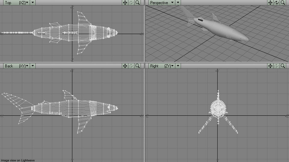 Shark - Blueshark 3D model_4