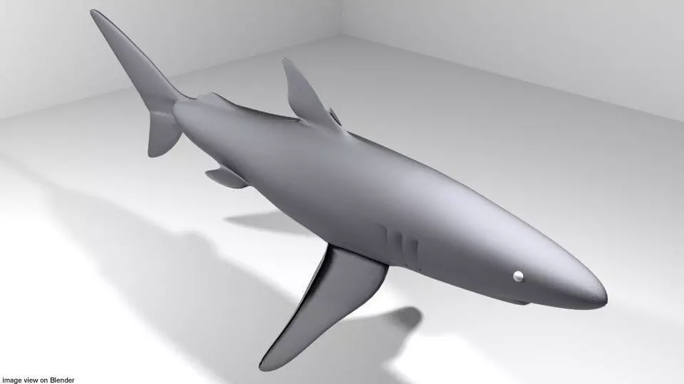 Shark - Blueshark 3D model_0