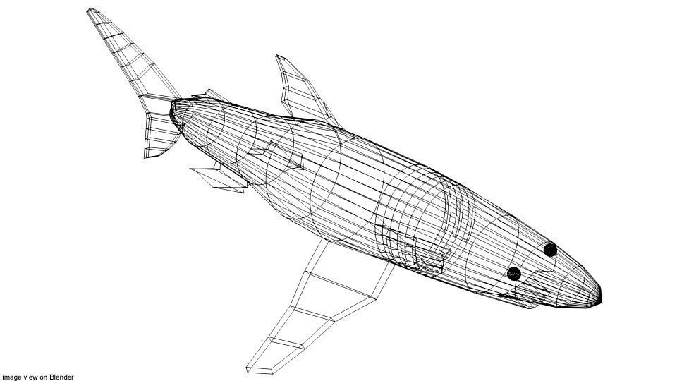 Shark - Blueshark 3D model_3