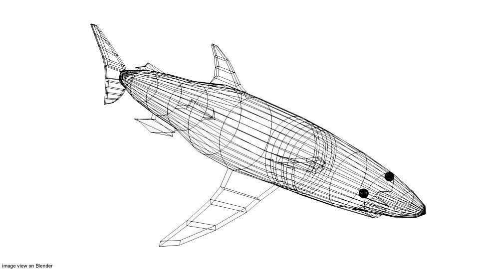 Shark - Mako 3D model_3