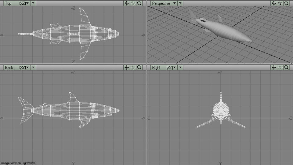 Shark - Mako 3D model_4