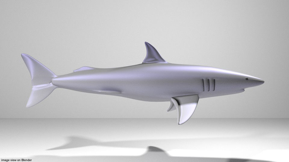 Shark - Mako 3D model_1