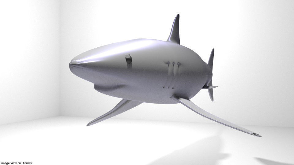 Shark - Mako 3D model_2