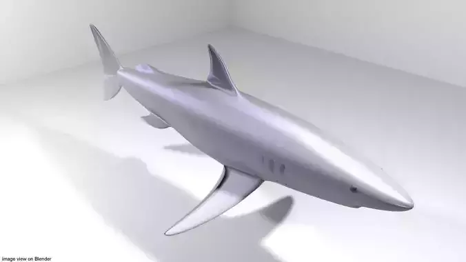 Shark - Mako