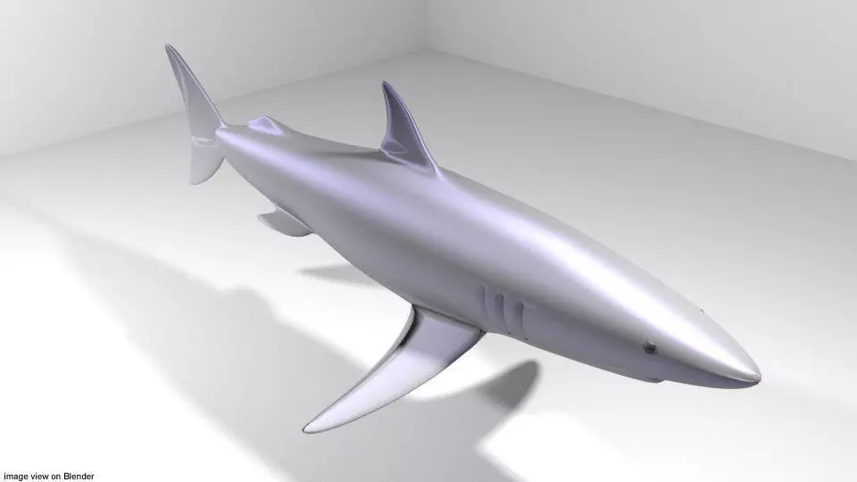 Shark - Mako 3D model_0