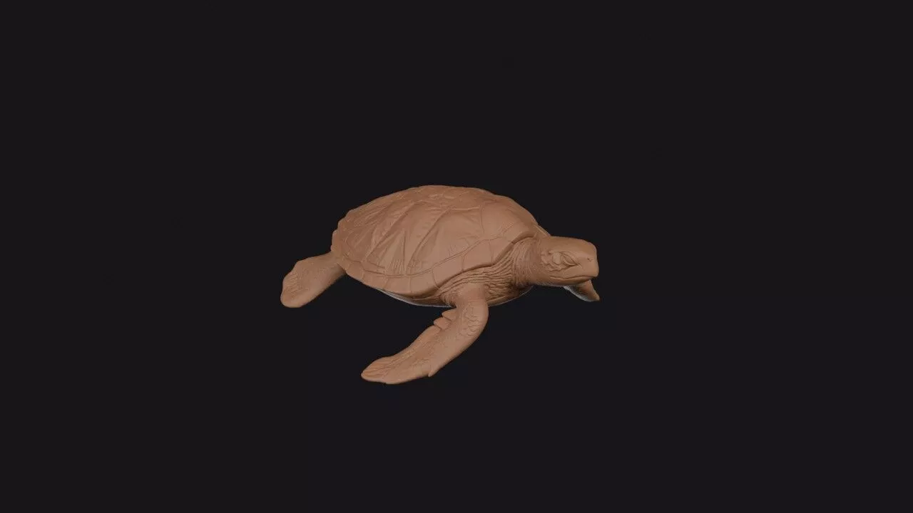 turtle 3d model 3D print model