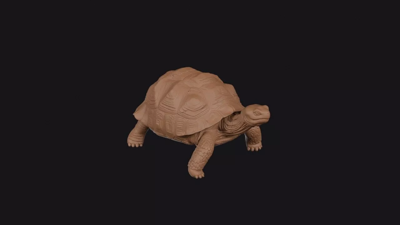 tortoise3d model 3D print model