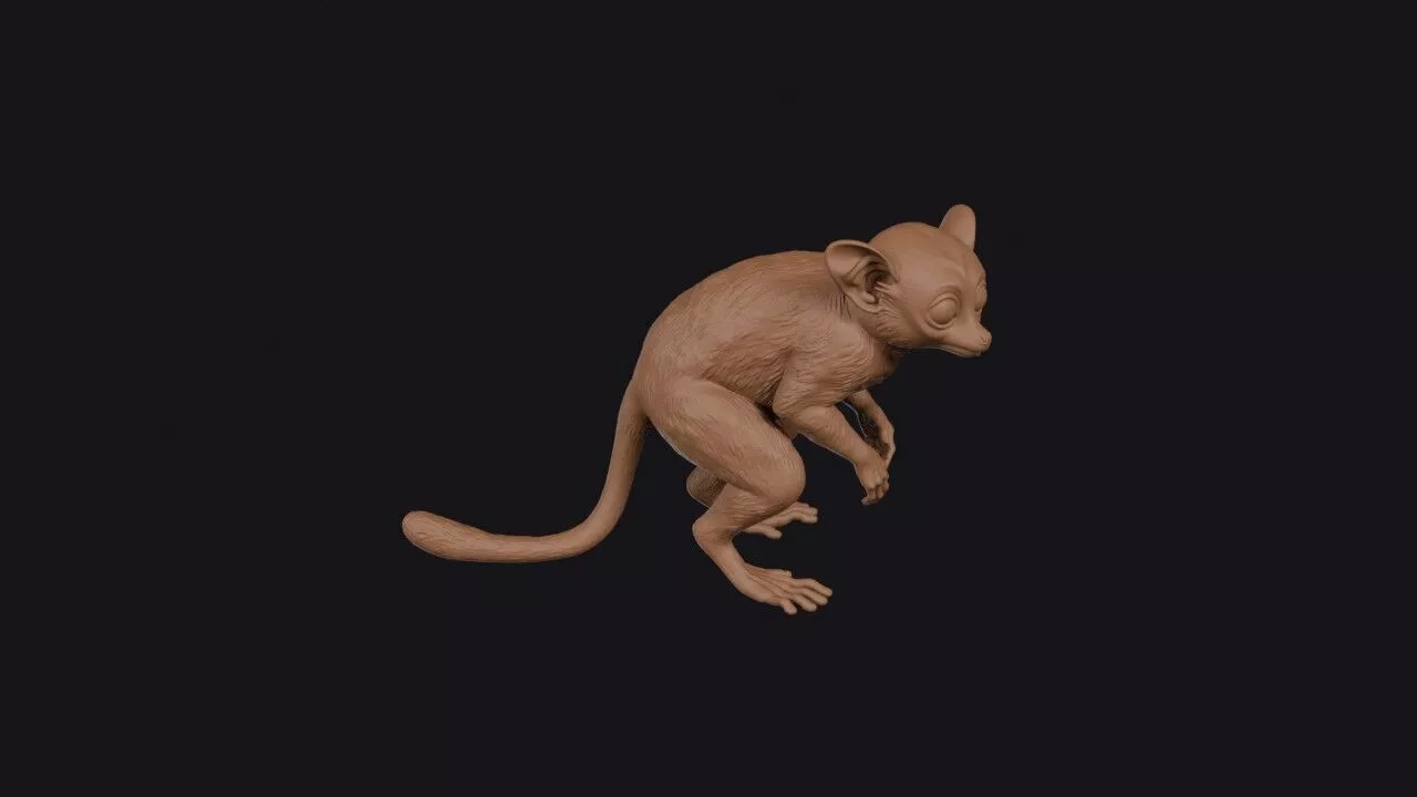 tarsier 3d model 3D print model