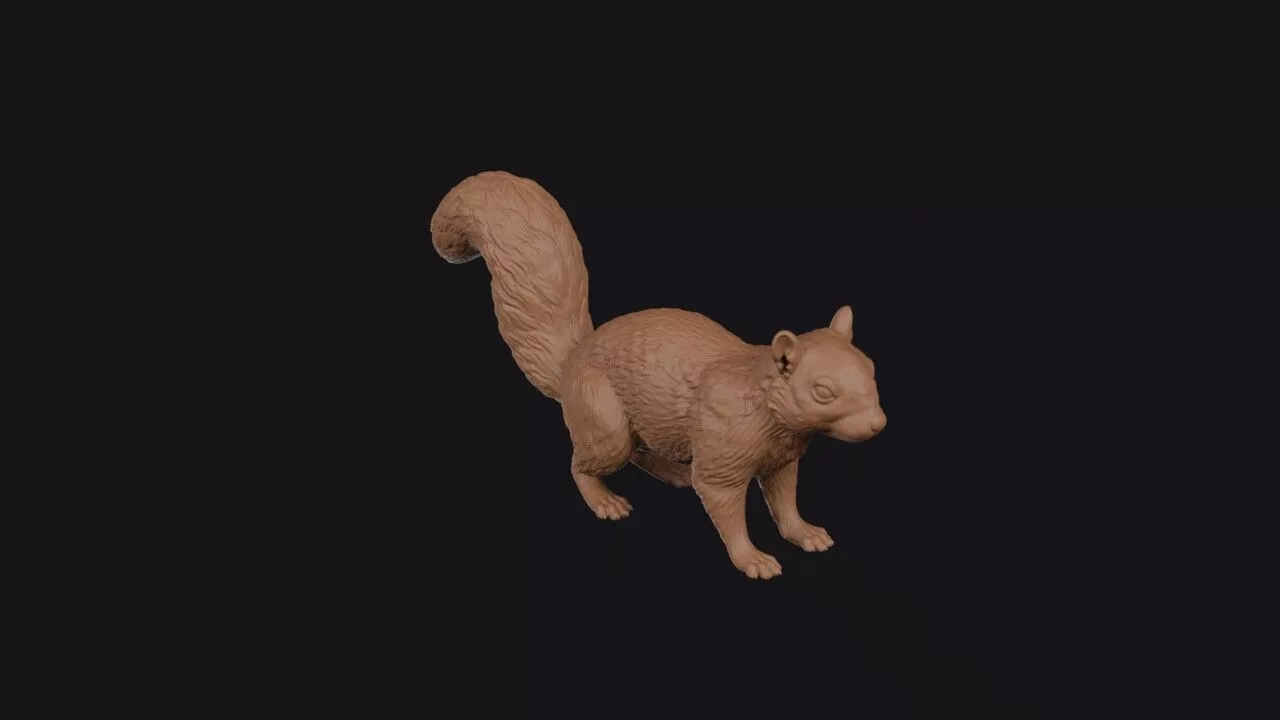 squirrel 3d model 3D print model