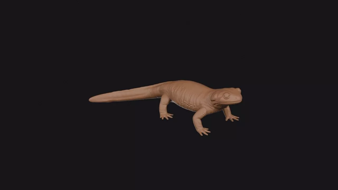 salamander 3d model 3D print model