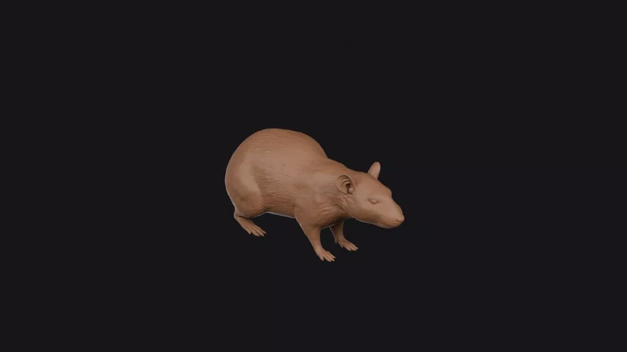 rat 3d model 3D print model
