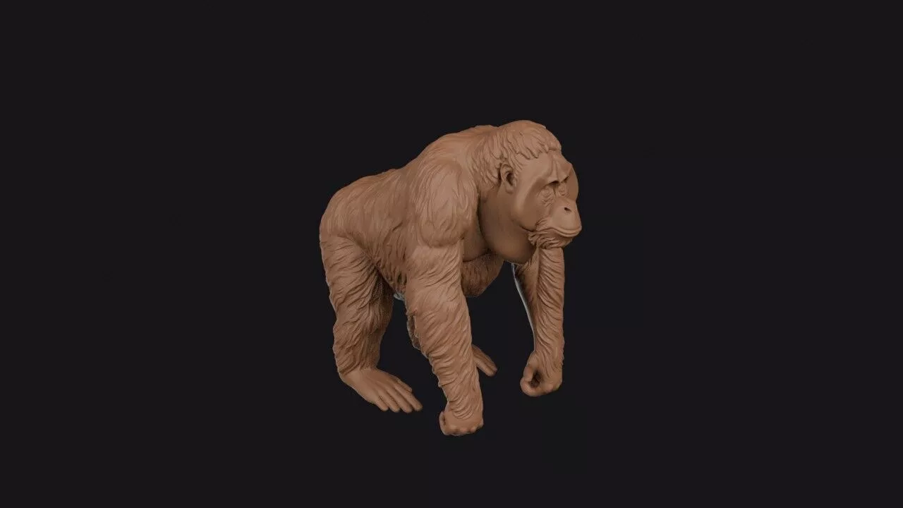 orangutan 3d model 3D print model