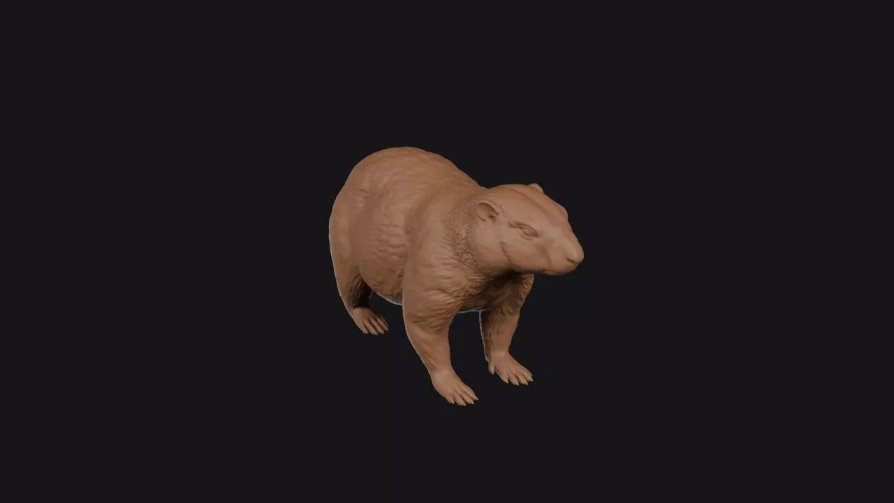 marmot 3d model 3D print model
