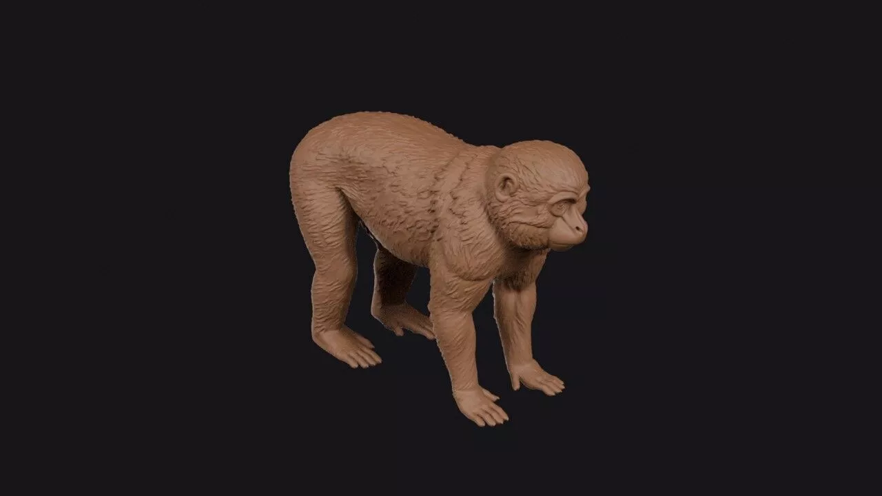 macaque 3d model 3D print model