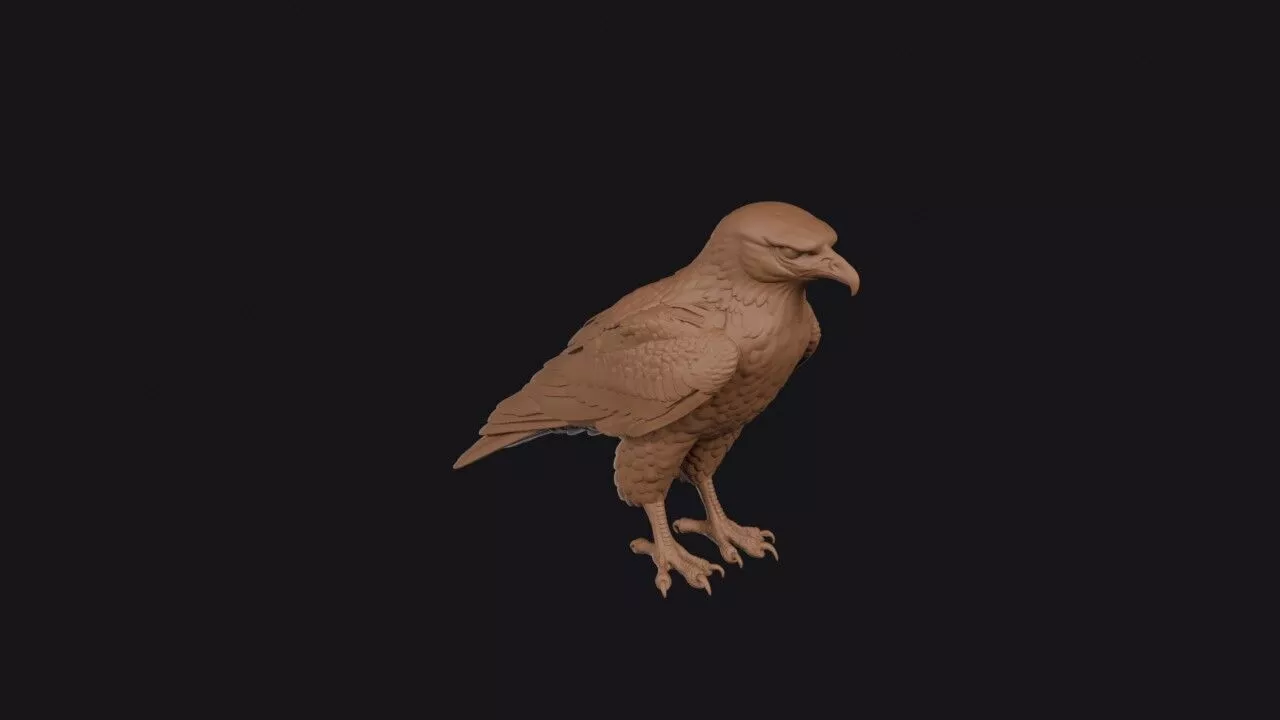 hawk 3d model 3D print model