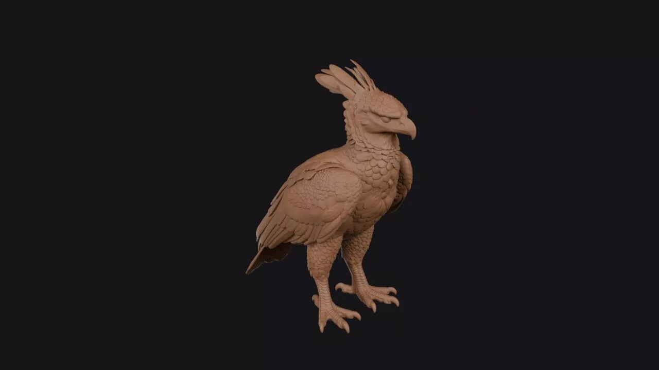 harpy eagle 3d model 3D print model