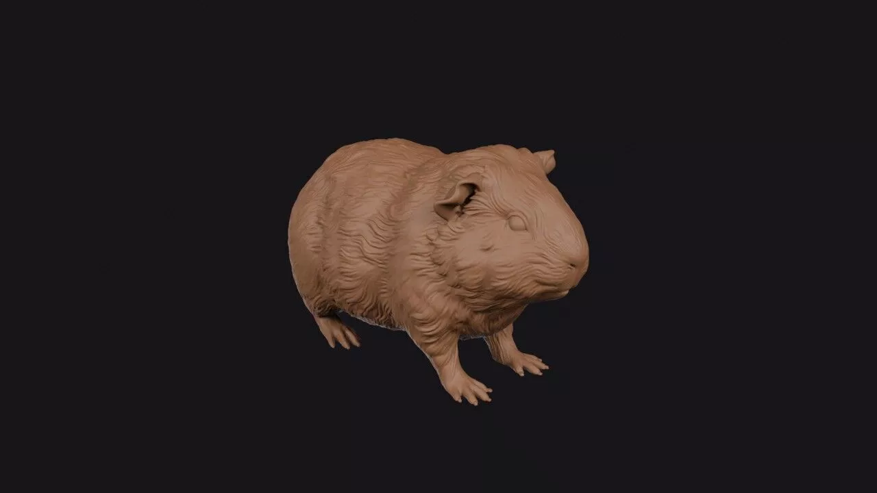 guinea pig 3d model 3D print model