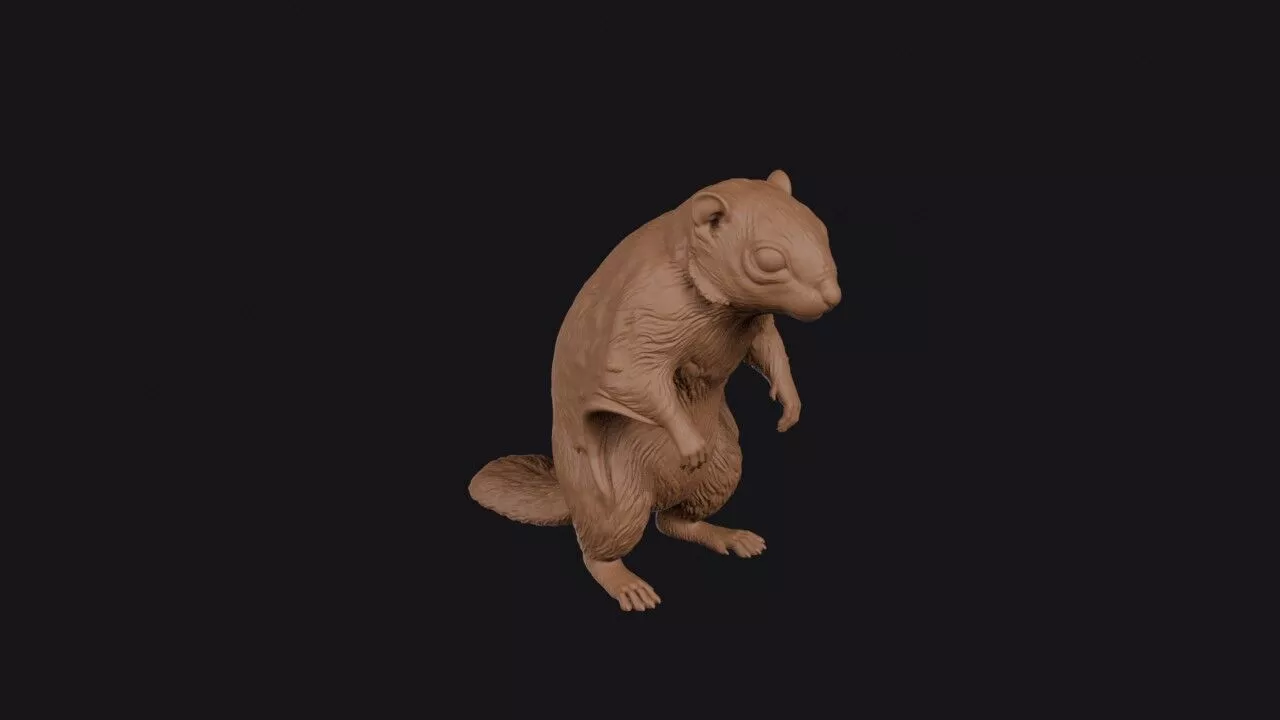 flying squirrel 3d model 3D print model