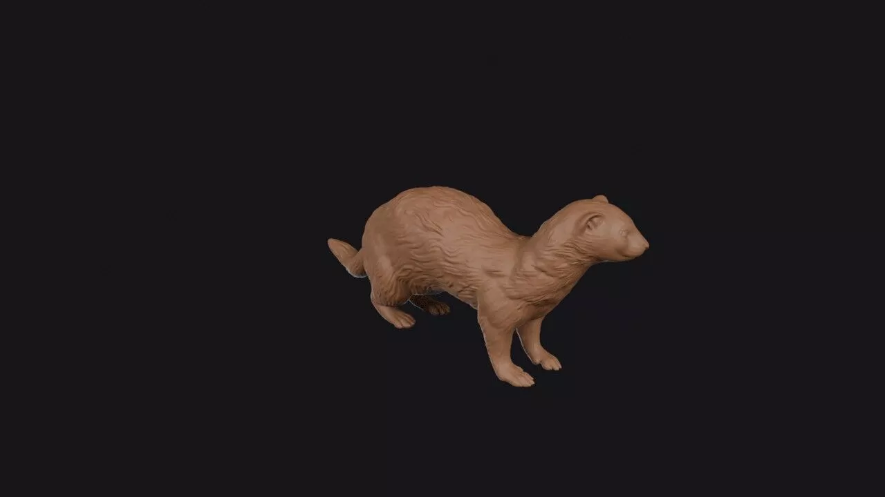 ferret 3d model 3D print model