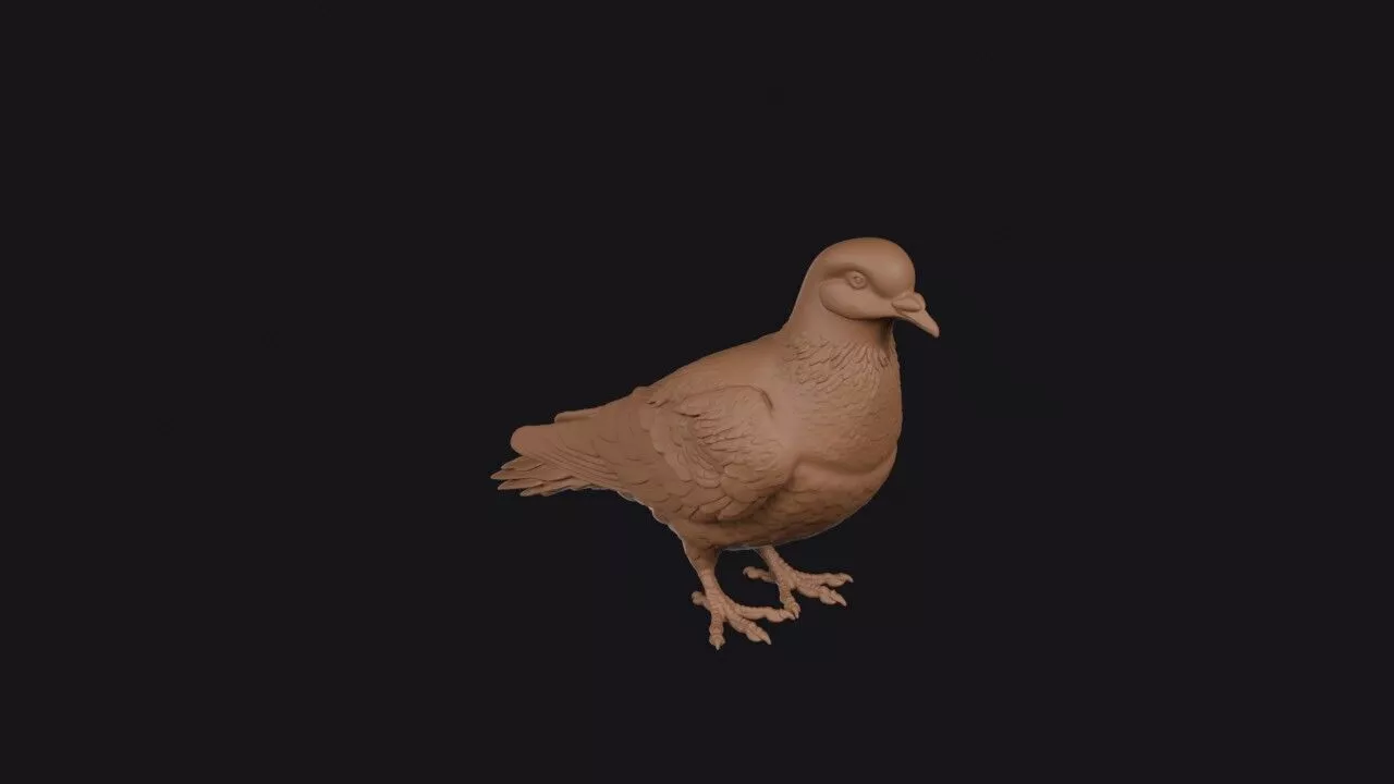dove 3d model 3D print model