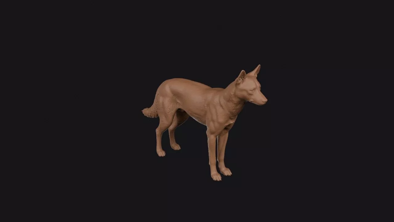 dingo 3d model 3D print model