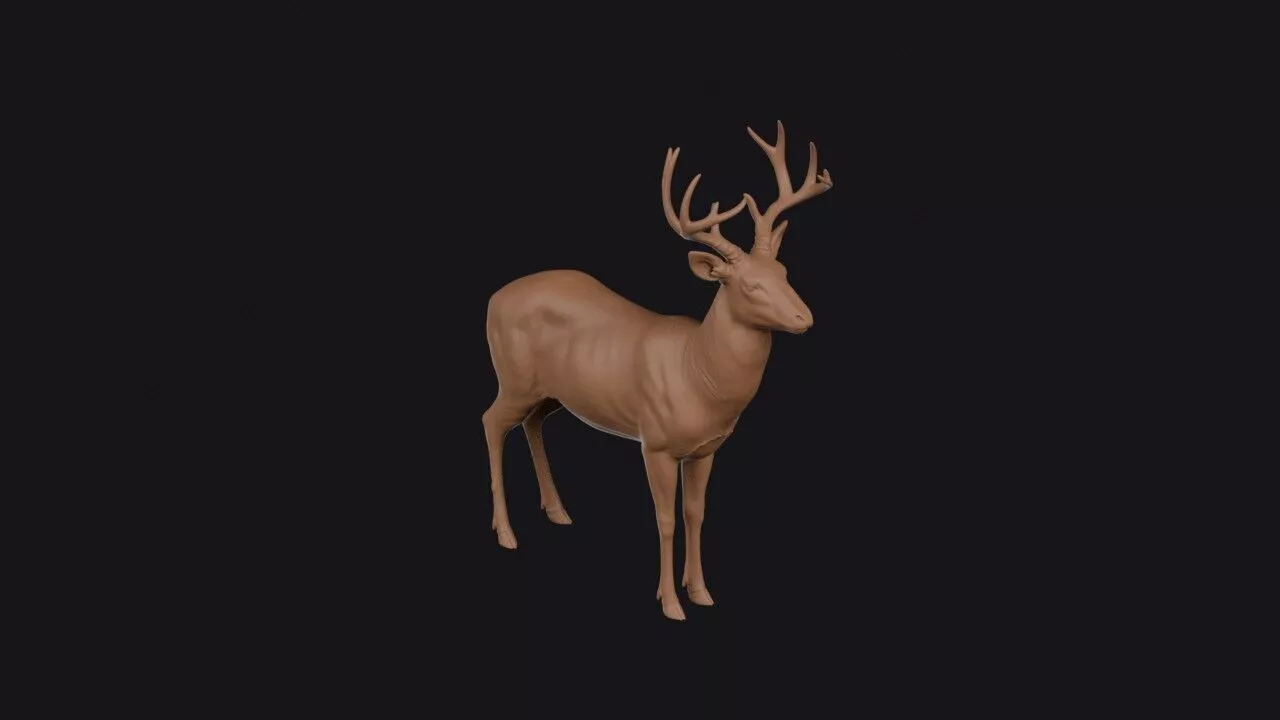 deer 3d model 3D print model