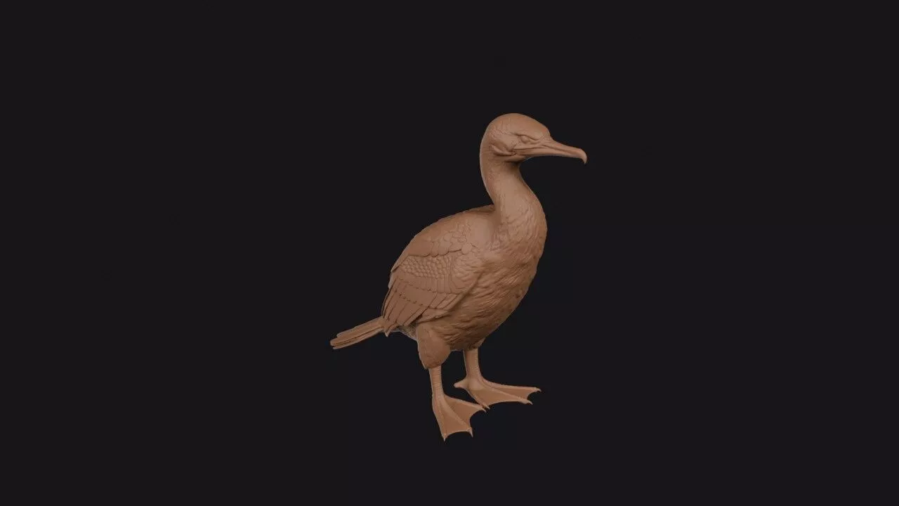 cormorant 3d model 3D print model