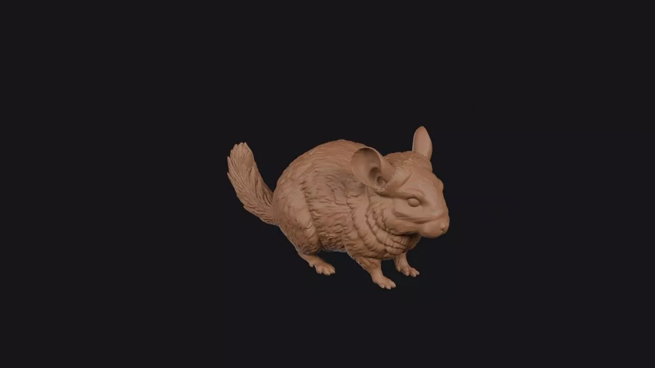 chinchilla 3d model 3D print model