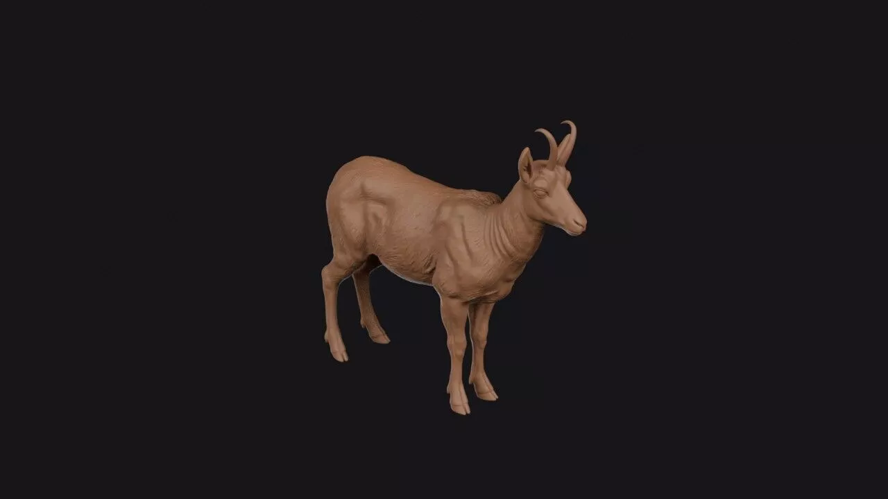 chamois 3d model 3D print model